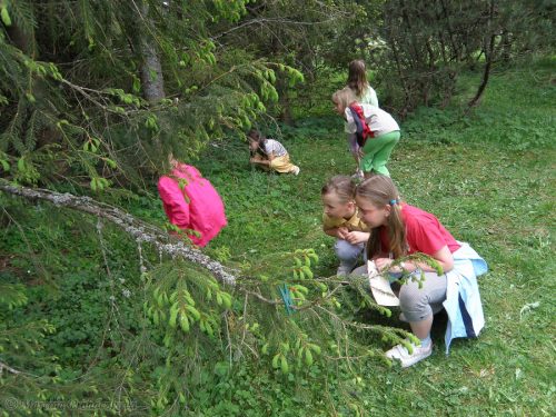 Škola v prírode - prieskum terénu