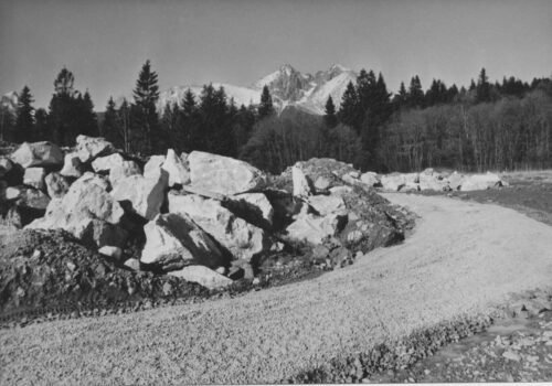 botanická záhrada výstavba 1990