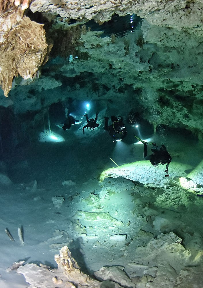 mfpf-baner-2024-01-5_7